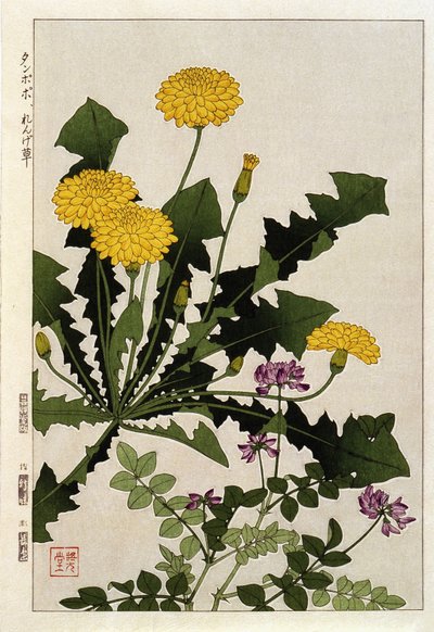 Dente-de-leão de flores - estampa japonesa de Japanese School