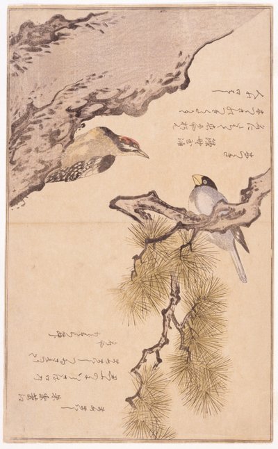 Dois pássaros numa árvore de School Japanese
