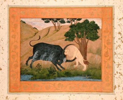 Leão em combate com um búfalo de água, do Grande Álbum Clive de School Mughal