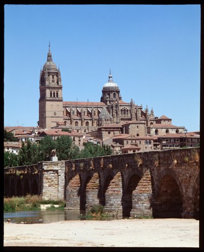 Vista da ponte romana sobre o rio Tormes e a catedral de School Spanish