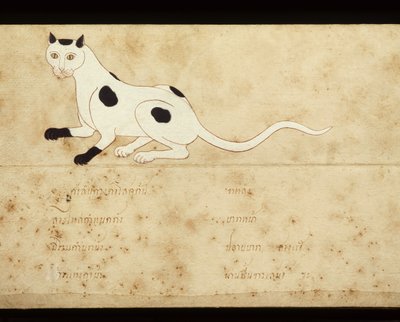 Folha de um manuscrito sobre gatos siameses, início do século XX (aguarela sobre papel) de School Thai
