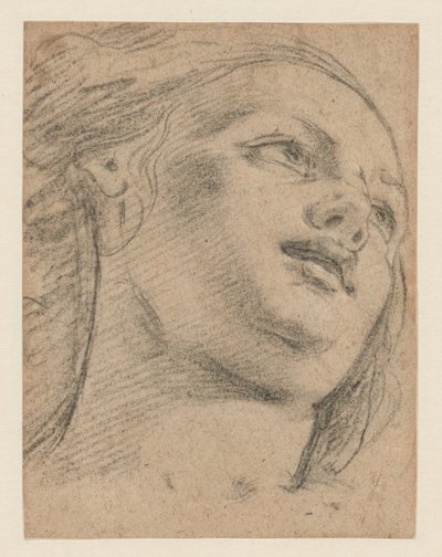 Estudo de cabeça feminina olhando para cima (reto); Estudo de duas figuras apoiando um objeto (verso) de School of Guido Reni