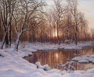 novembro de Schultze