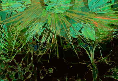 Artichoke_abst_horz2 (digital) de Scott J. Davis