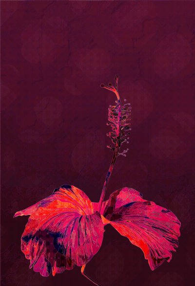 Hibisco, 2019 de Scott J. Davis