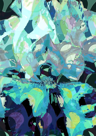 Íris (digital) de Scott J. Davis