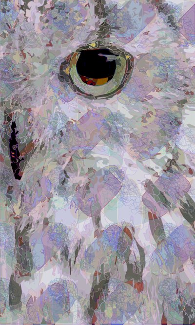Coruja3 (digital) de Scott J. Davis