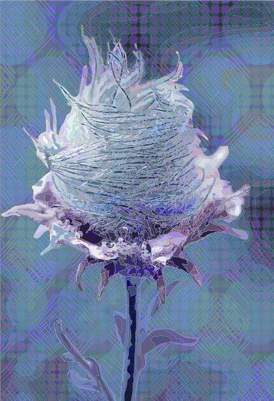 Wood Avens4, 2019 de Scott J. Davis
