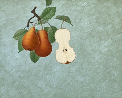 Pyris Stradivarius, 2016 (scratchboard, colorido digitalmente) de Scott McKowen