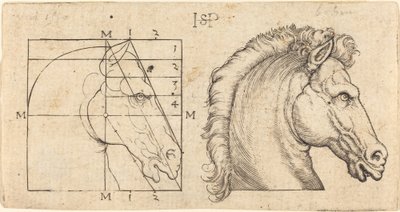 Duas cabeças de cavalo de Sebald Beham