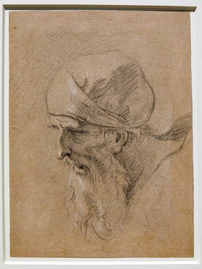 Cabeça de um homem velho de Sebastiano Ricci