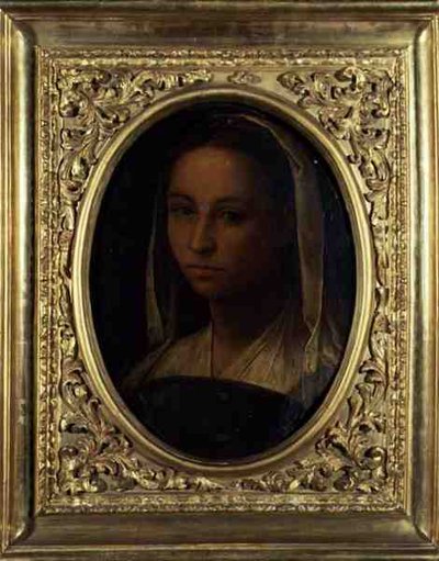 Retrato de uma rapariga (óleo sobre tela) de Sebastiano del (c.1485 1547) Piombo