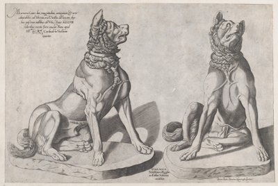 Dois Cães, 1558 de Sebastiano di Re