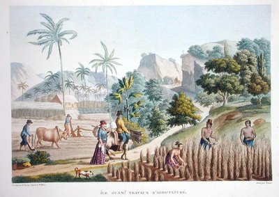 Trabalhadores agrícolas, Guam, Filipinas, de 