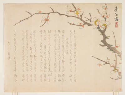 Ameixa de floração, janeiro de 1837 (impressão em xilogravura a cores) de Seik Hashimoto