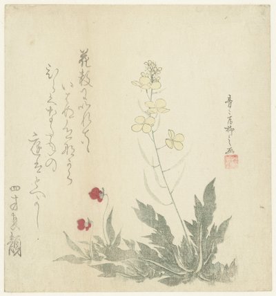 Plantas floridas de Seiseikyo Ryûshi