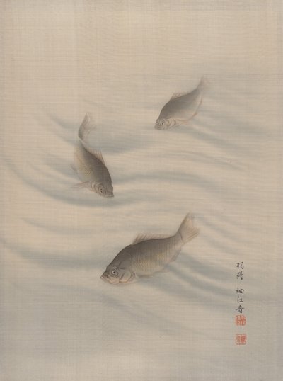 Peixes Natação, ca. 1890-92. de Seki Shuko