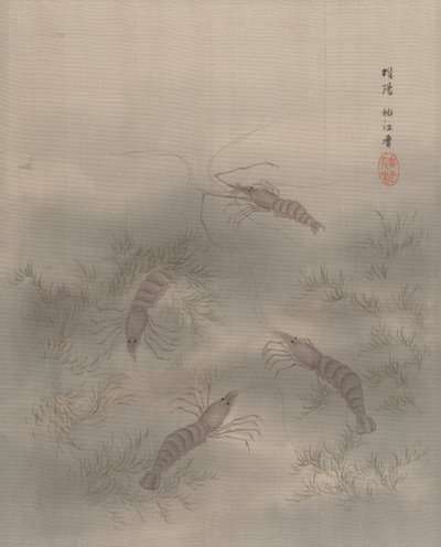 Camarão Ebi, c. 1890-92. de Seki Shuko