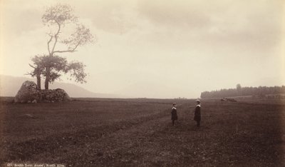 Sul de Ames, North Elba, c. 1888 (foto) de Seneca Ray Stoddard