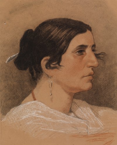 Perfil de uma mulher de Severin Falkman