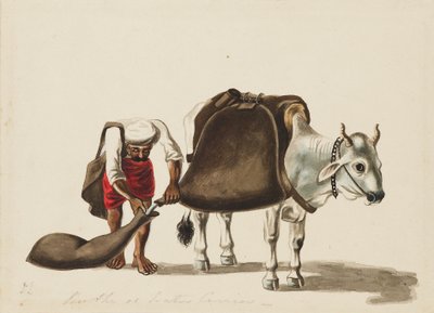 Transportador de água, c1810 de Sewak Ram