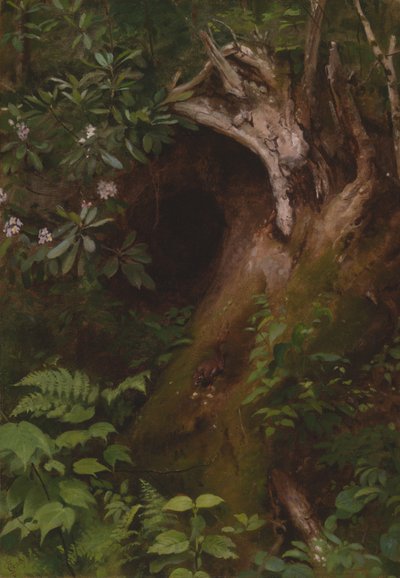 O esquilo de Seymour Joseph Guy