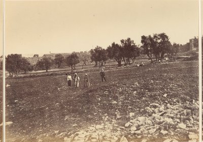Vista Geral da Cidade & c. do Norte de Sgt. James M. McDonald