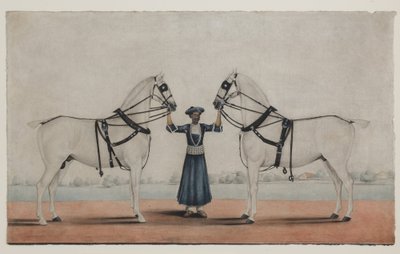 A Syce (noivo) segurando dois cavalos de carruagem, c.1845 (aquarela opaca sobre papel) de Shaik Muhammad Amir of Karraya (attr. to)