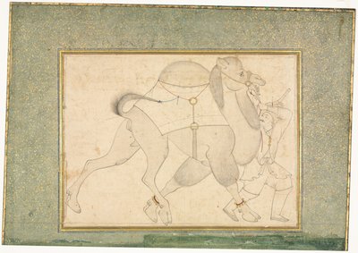 Camel and Groom, Single Page Illustration, c. 1545-1576. de Shaykh Muhammad