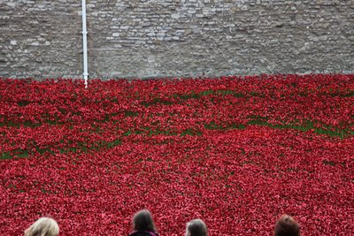 Terras varridas sangue e mares do vermelho, torre de Londres, 2014. de Sheldon Marshall