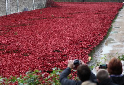 Terras varridas sangue e mares do vermelho, torre de Londres, 2014. de Sheldon Marshall