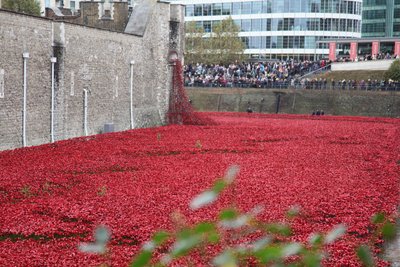 Terras varridas sangue e mares do vermelho, torre de Londres, 2014. de Sheldon Marshall