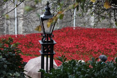 Terras varridas sangue e mares do vermelho, torre de Londres, 2014. de Sheldon Marshall