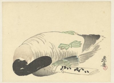 Pato morto ao lado de carta dobrada de Shibata Zeshin