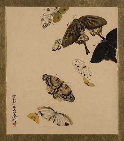 Pinturas em laca de vários assuntos: Borboletas, datada de 1881. de Shibata Zeshin