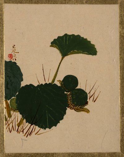 Worm na planta de folhas verdes. de Shibata Zeshin