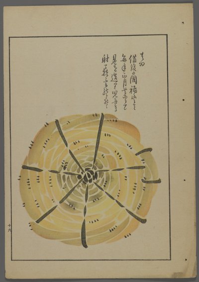 Brinquedos japoneses, de Unai no tomo (A Childs Friends), de Shimizu Seifu, 1891-1923. Cata-vento de corda. de Shimizu Seifu