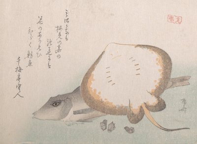 Stingray e Gurnard, provavelmente 1815., provavelmente 1815. de Shinsai