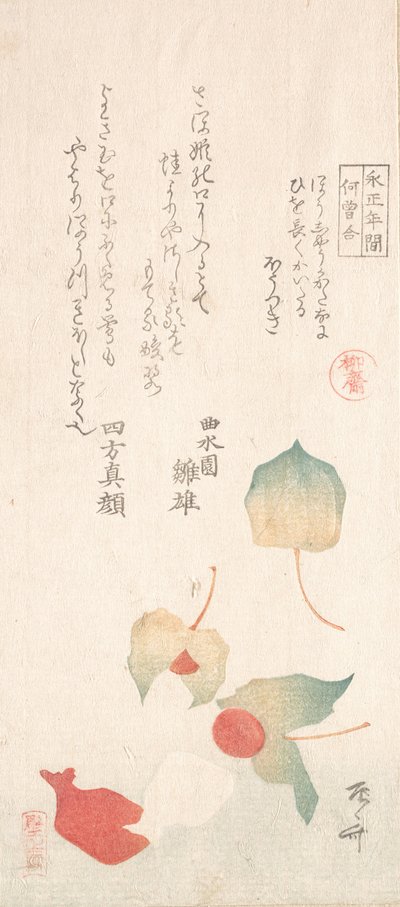 Cerejas de inverno. de Shinsai