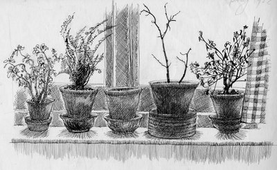 Plantas mortas no peitoril da janela, 1952. de Shirley Markham