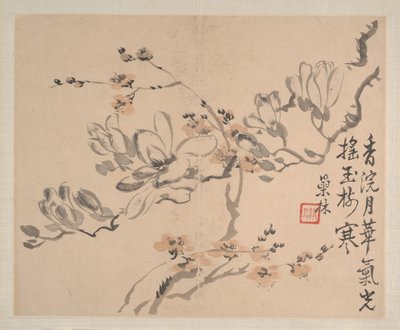 Paisagens e flores, datado de 1745 (álbum de oito pinturas; tinta e cor sobre papel) de Shishen Wang
