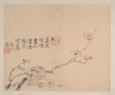 Paisagens e flores, datado de 1745 (álbum de oito pinturas; tinta e cor sobre papel) de Shishen Wang