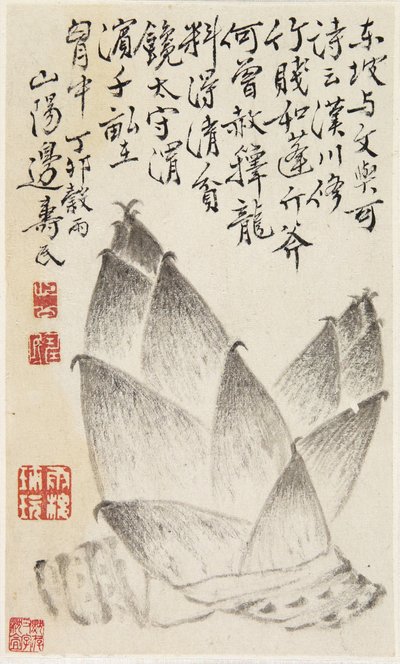 Brotos de bambu, de um álbum de legumes (tinta sobre papel) de Shou min Pien