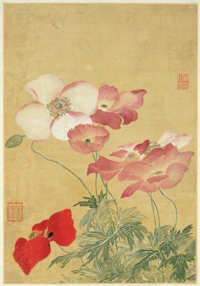 Imagem do Álbum de Pinturas de Flores (aquarela) de Shouping Yun
