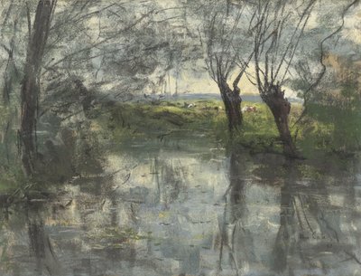 Bosvijver de Siebe Johannes ten Cate