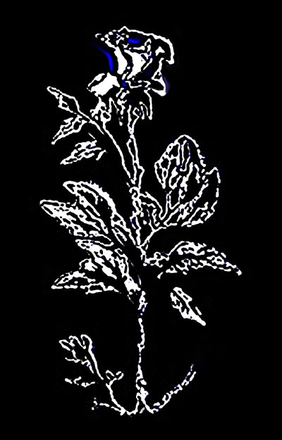 Elegância nocturna cintilante de Silvia Martini