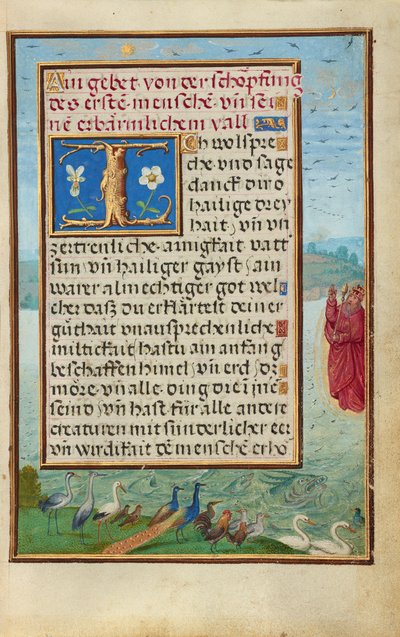 Bordüre mit der Erschaffung von Vögeln und Fischen de Simon Bening