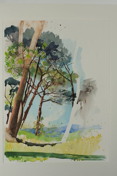 Pines at St. Blaise, 2004 (aguarela sobre papel) de Simon Fletcher