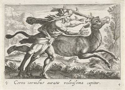 Hércules captura a corça de Cerynea
Cerva cornibus auratis velocissima capitur (título sobre o objecto)
Temas hercúleos (título da série) de Simon Frisius
