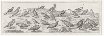 Paisagem com diferentes tipos de pássaros. Pássaros e insetos (título da série) de Simon Frisius